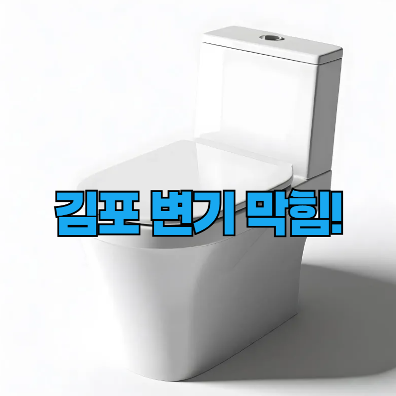 김포 변기 막혓을때