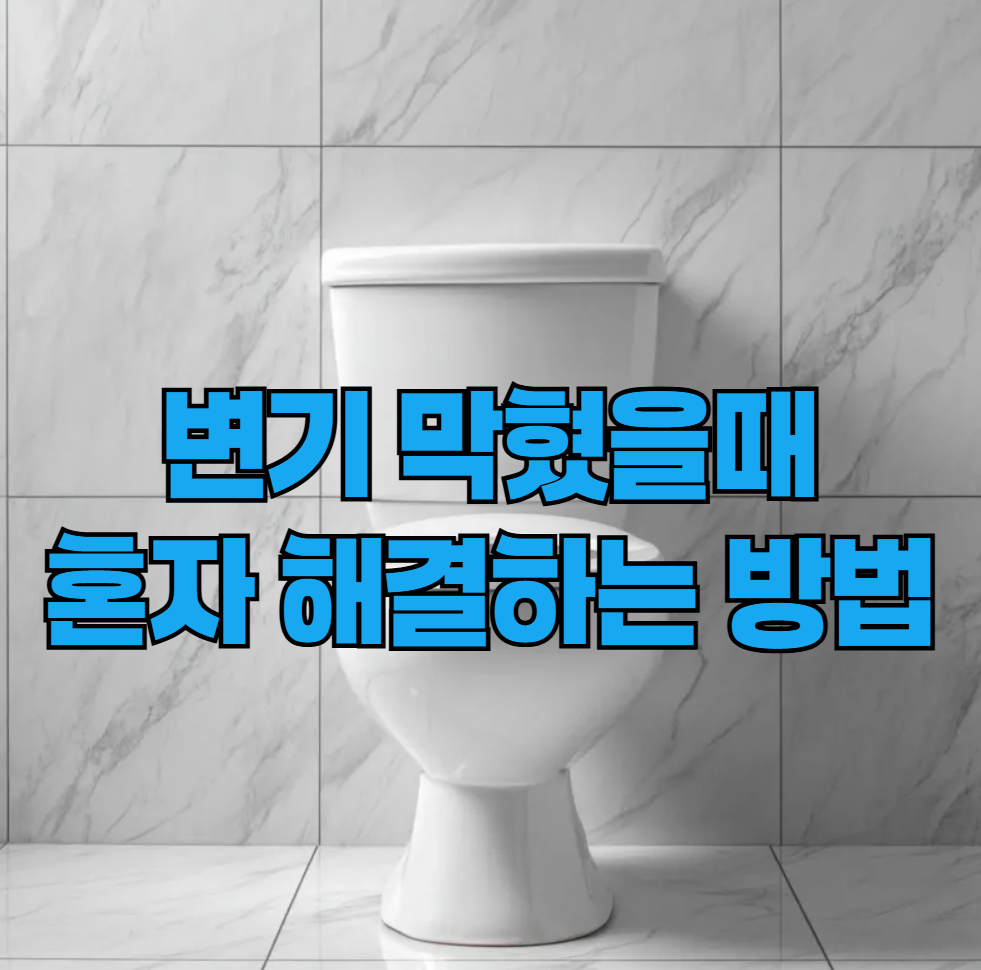 변기 막혔을 떄 혼자 해결하는 방법