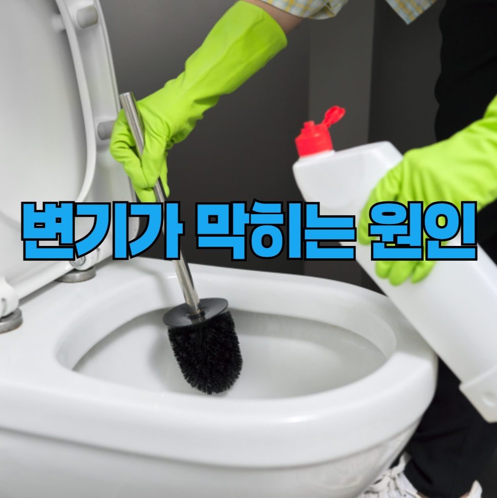 변기가 막히는 원인