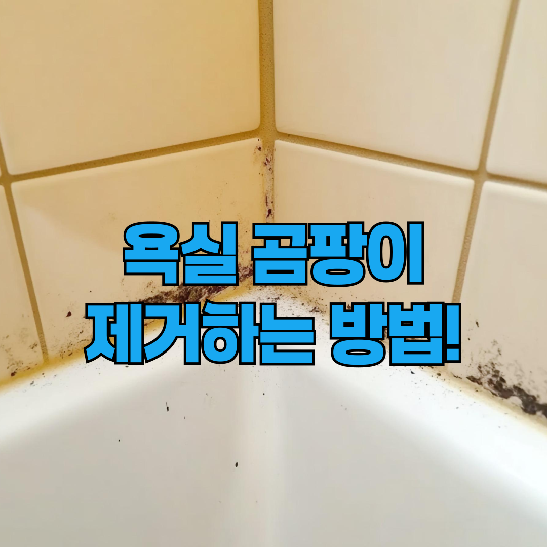 욕실 곰팡이 제거하는 법