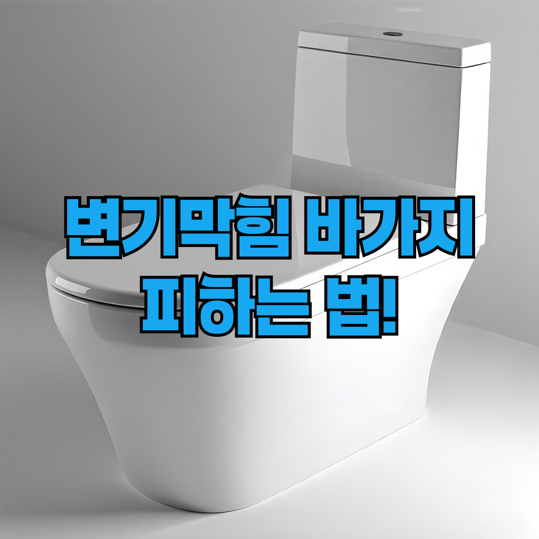 변기 막혔을때 바가지 피하는 법