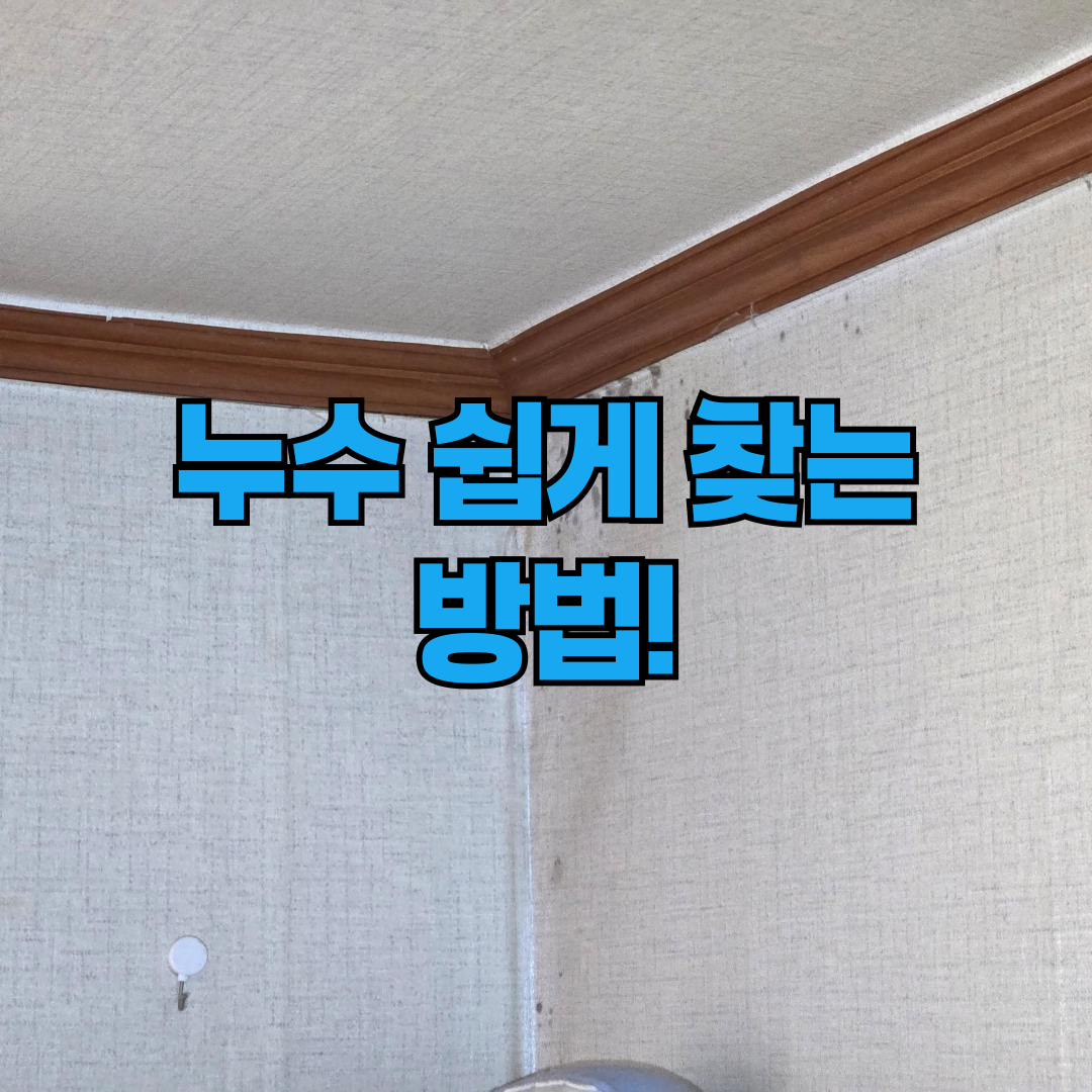 누수 쉽게 찾는 방법