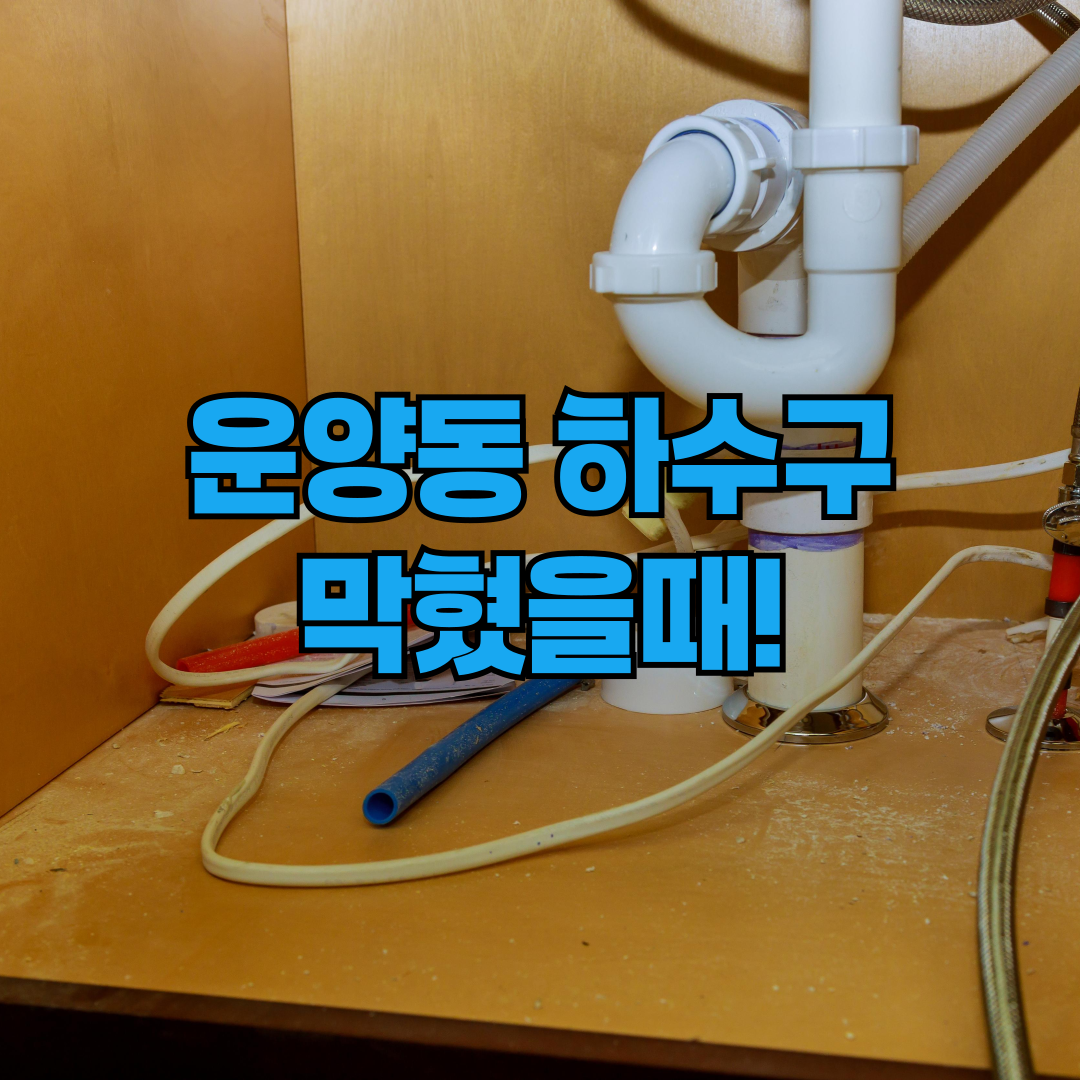 김포 운양동 하수구 막혀서 해결한 방법