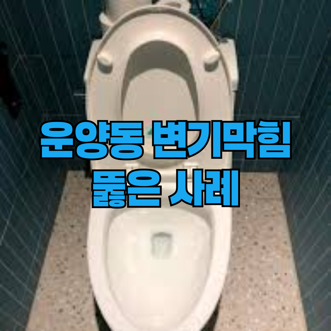 운양동 변기막힘 뚫어드립니다