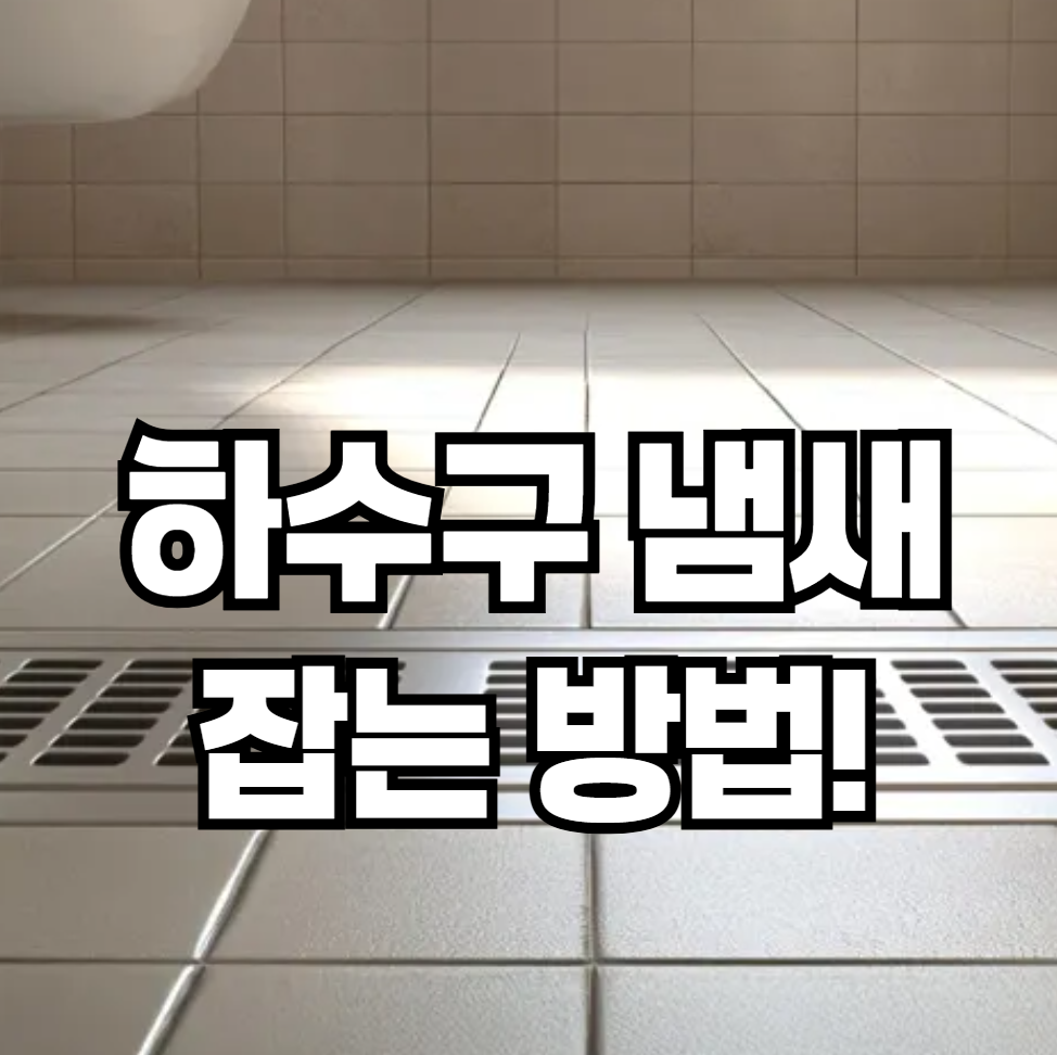 싱크대 하수구 냄새, 배수관 정비로 완벽하게 잡는 법