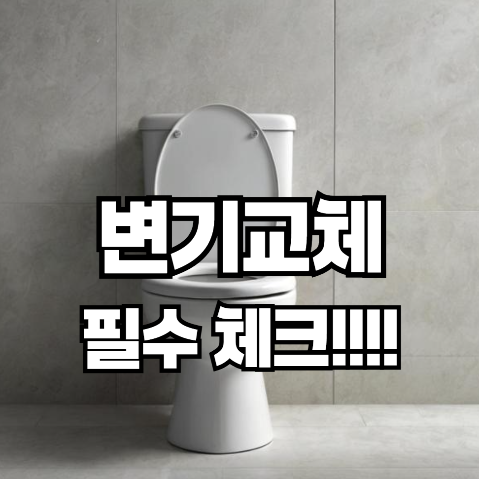변기 교체 시 고려해야 할 디자인과 기능